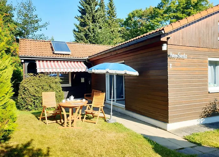 Ferienhaus Siesta Hahnenklee Mit Grossem Grundstueck
