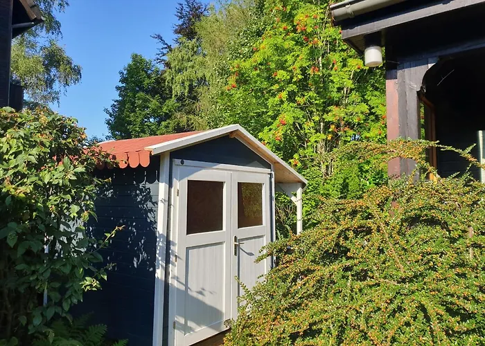 Ferienhaus Siesta Hahnenklee Mit Grossem Grundstueck
